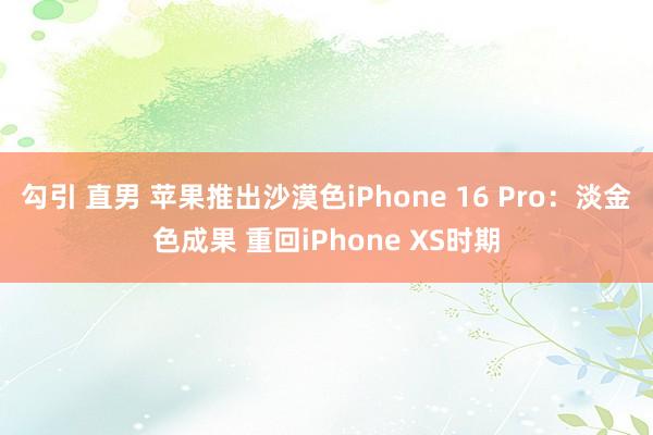 勾引 直男 苹果推出沙漠色iPhone 16 Pro：淡金色成果 重回iPhone XS时期